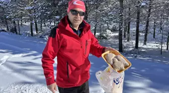 Erzurum'da nesli tükenme tehlikesindeki vaşak görüntülendi