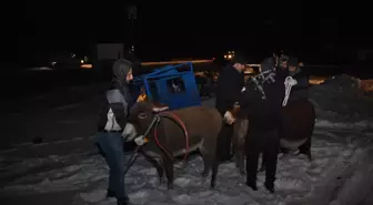 ŞANLIURFA - Siverek'te donma tehlikesi geçiren eşekler barınağa götürüldü