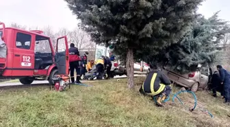 Yoldan çıktı ağaca çarparak durdu