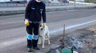 Temizliğe her sabah birlikte başlayıp birlikte bitiriyorlar