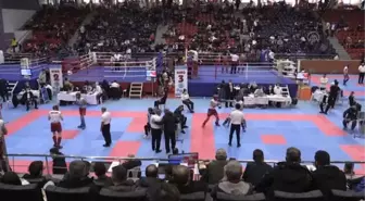 Türkiye Kick Boks Turnuvası devam ediyor