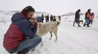Kış koşullarında yiyecek bulmakta zorlanan sokak hayvanlarının imdadına yetiştiler