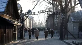 Auschwitz'te Nazi selamı veren Hollandalı bir turist gözaltına alındı