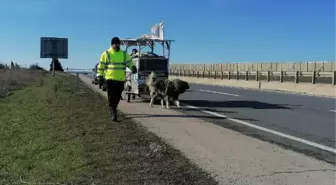 British citizen walking from England to Mecca reached Istanbul