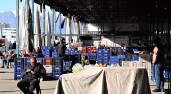 Dondurucu soğuklar sebebiyle Antalya haline gelen ürün yüzde 50 azaldı