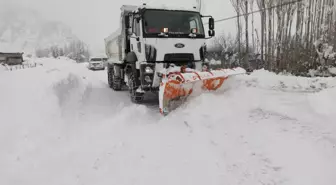 ŞIRNAK'TA 28 KÖY VE 12 MEZRA YOLU KARDAN KAPANDI