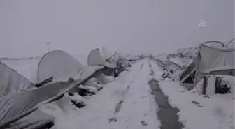 KAHRAMANMARAŞ - Kar nedeniyle seralar zarar gördü