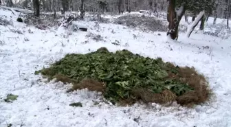 Ocak ayı içerisinde yaban hayvanları için doğaya 15 ton yem bırakıldı