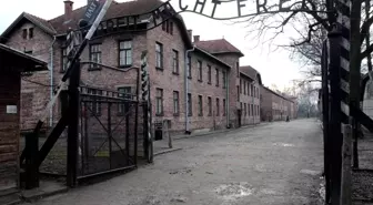 Auschwitz kampında 'Nazi selamı' veren Hollandalı turiste para cezası