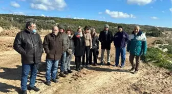 Çevrecilerden 'beach club için ağaçlar kesildi' iddiasıyla suç duyurusu