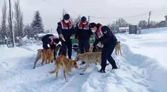 Eksi 10 derecede yaban ve sokak hayvanlarına jandarma şefkati