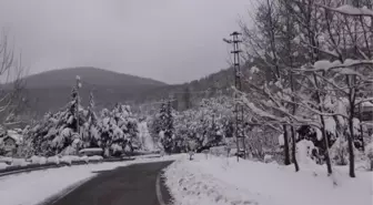 Mahsur kalan hastanın imdadına belediye ekipleri yetişti