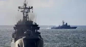 İrlanda'dan Rusya'ya: Kıyılarımızda yapacağınız tatbikat, nadir balina türlerine zarar verebilir