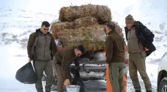 Milli parkta yerleri drone ile belirlenen dağ keçilerine yem bırakıldı