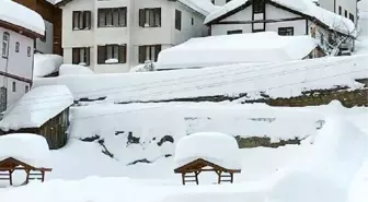 KASTAMONU'DA ARAÇLAR, KARDA KAYBOLDU