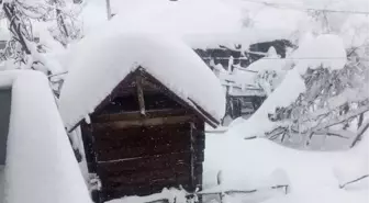 Kastamonu'da araçlar, karda kayboldu (2)