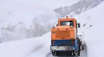 BİTLİS'TE TİPİYE RAĞMEN YOL AÇMA ÇALIŞMASI