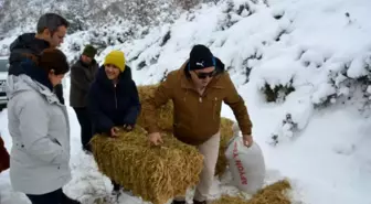 DKMP ekipleri protokol üyeleriyle yaban hayvanlarına yem bıraktı