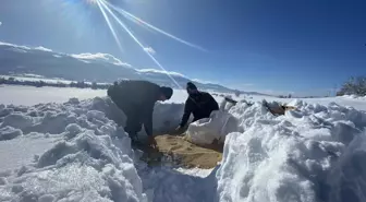 Yaban hayvanları için doğaya 4 ton yem bırakıldı