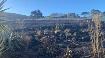 Son dakika haber! Cape Town Tana Baru mezarlığında yangın