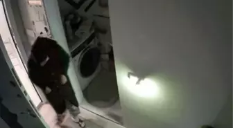 KADIN HIRSIZLAR KAMERAYA YAKALANDI