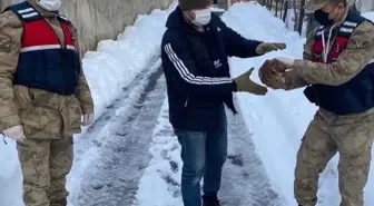 Ordu'da yaralı halde bulunan şahin tedavi altına alındı