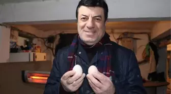 COŞKUN SABAH: ESKİ ORTAĞIM HABERİM OLMADAN ÇİFTLİKTEN YUMURTA SATMIŞ, ŞİKAYETÇİ OLDUM