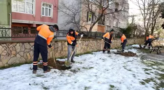 Eyüpsultan'da ağaç dikimi devam ediyor