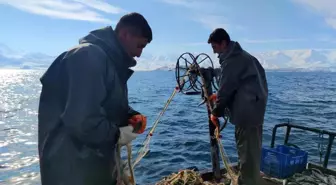 Üreme döneminde alınan tedbirler inci kefalinin çoğalmasını sağladı