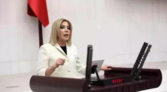 AK Partili Gökcan, çimento fabrikasına ruhsat verilmesini eleştirdi