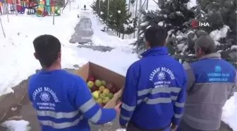 Aksaray'da ağaçlar meyvelendi- Zorlu kış şartları nedeniyle belediye kuşlar için ağaçlara meyve taktı