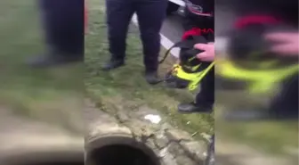İSTANBUL-AVCILAR'DA RÖGARDA MAHSUR KALAN KÖPEĞİ İTFAİYE KURTARDI