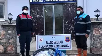 Jandarma hırsızlara göz açtırmıyor: 2 gözaltı