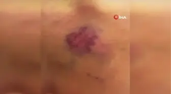 Model Ece Su Uçkan'ın içinde olduğu taksi denize düştü- Aracın kapılarını açıp yüzerek kurtuldular