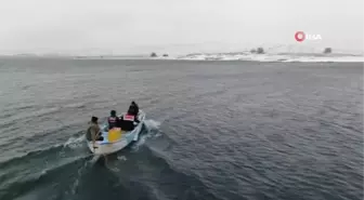 Son dakika haberi... Tavşan Adası'nın uzun kulaklı sakinleri jandarma tarafından besleniyor