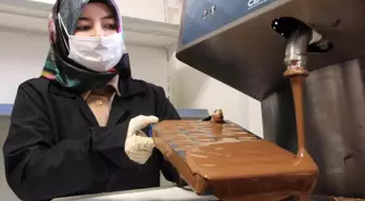 Vali Çiçek'ten ağızları tatlandıracak haber