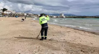 Didim'de sahillerde temizlik çalışması yapıldı