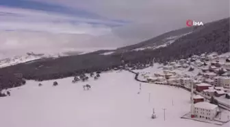 Ordu'da en güzel çoban ve av köpeği yarışı