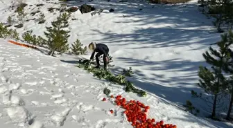 Fethiye'de yaban hayvanları için doğaya yem bırakıldı