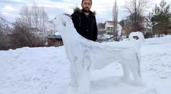 Kardan Kangal ilgi odağı oldu