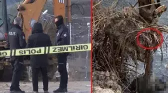 Büyükçekmece'deki kelepçeli cinayet aydınlanıyor! Bomba Baybaşin aşireti detayı