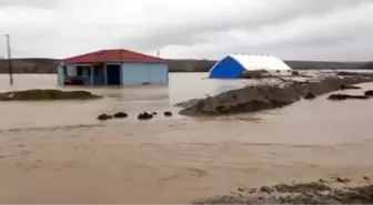 Çorlu Deresi taştı; tarım alanları sular altında kaldı (3)