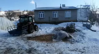 Elazığ'ın bu köyünde sadece 9 kişi yaşıyor