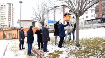 Kastamonu'da kuşlar için yem dağıtıldı