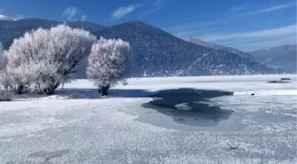 TAMAMEN KURUYAN AVLAN GÖLÜ'NDE 'SU' SEVİNCİ