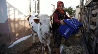 Konyaaltı'nda doludan zarar gören hayvancılara Büyükşehir'den destek