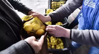 Mersin'den gönderilen 25 ton limon, Ankaralı 12 bin aileye dağıtıldı