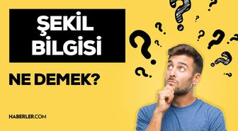 Şekil bilgisi nedir? Şekil bilgisi konu anlatımı! Şekil bilgisi morfoloji kavramının kökeni nedir?