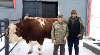 2 yılda bin 250 kiloya ulaştı