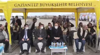 GAZİANTEP - Suriye'deki kamplarda yaşayan savaş mağdurlarına 80 tır yardım gönderildi